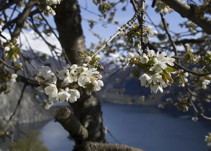 Valldal Camping Valldal